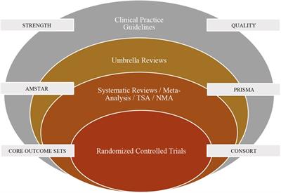 Umbrella review clearance